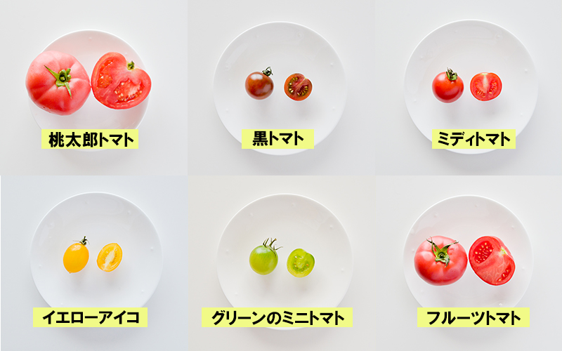 桃太郎トマト　黒トマト　ミディトマト　イエロートマト　グリーンのミニトマト　フルーツトマト