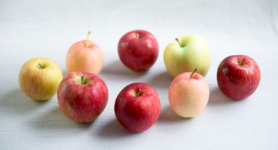 りんごの代表品種