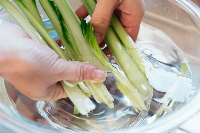 小松菜をよく洗う