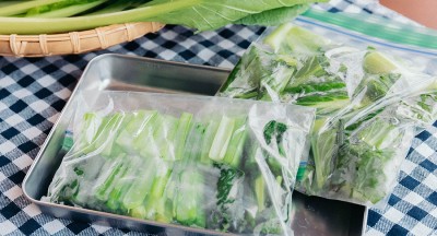 小松菜の冷蔵保存と冷凍保存