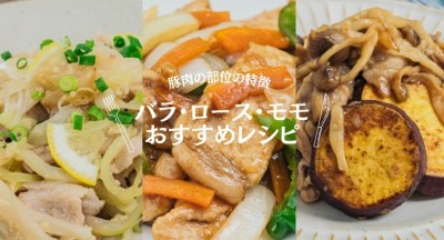 豚肉の部位ごとのおすすめレシピ