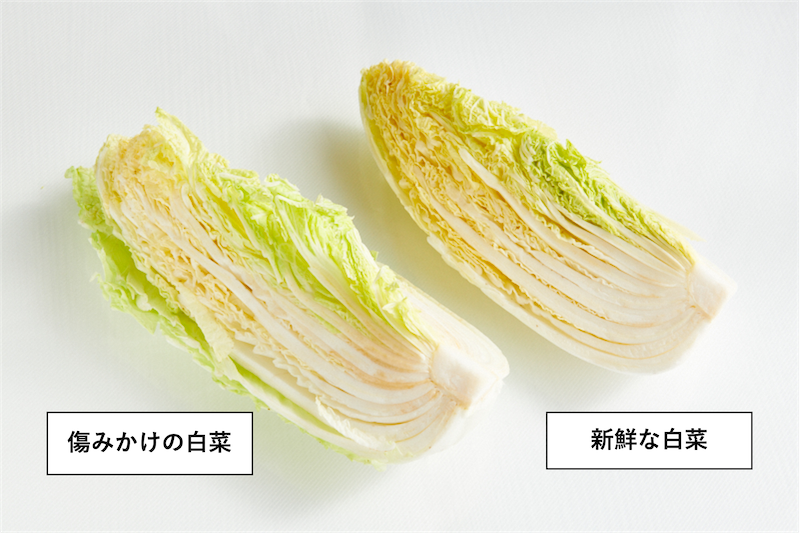 新鮮な白菜